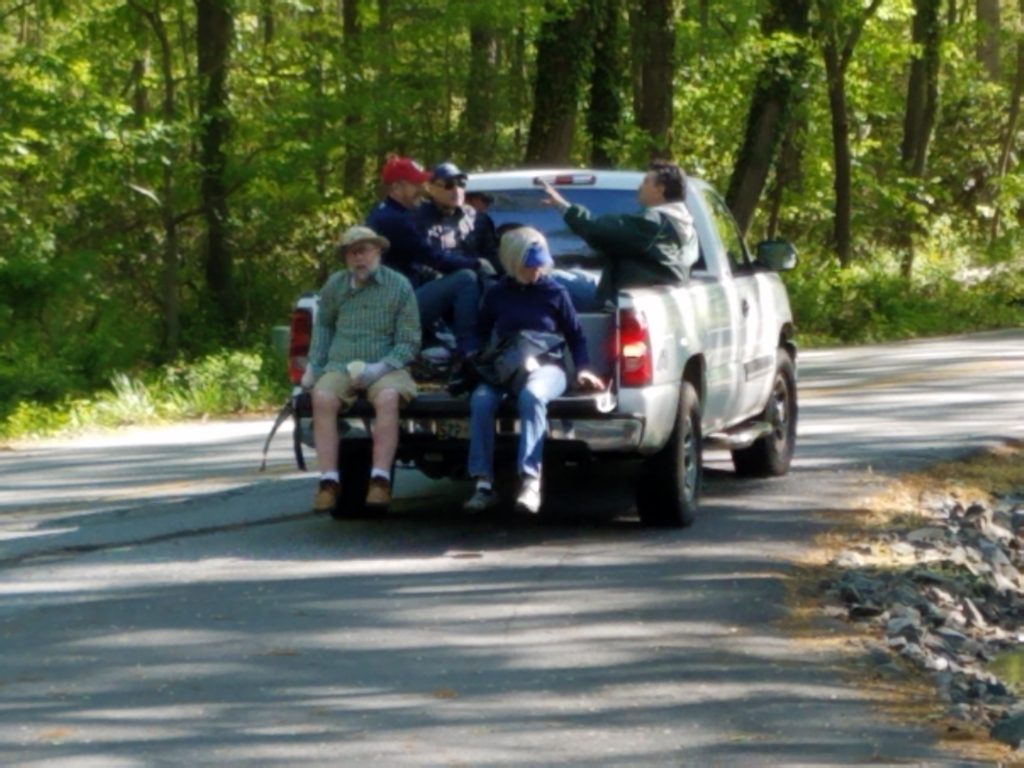 Spring cleanup